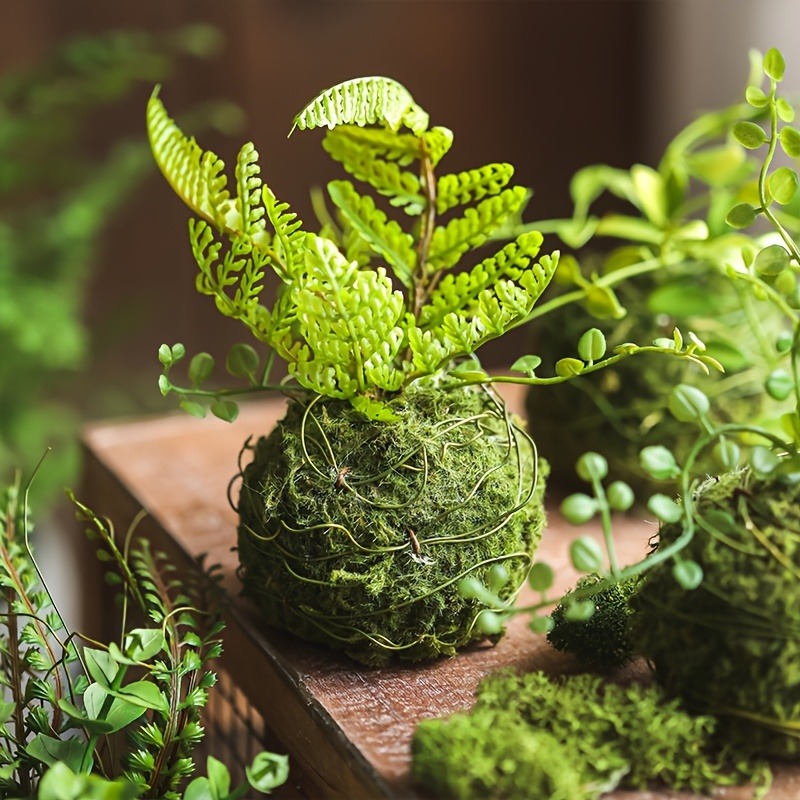 Sphagnum Moss Dry - وعاء طحالب صناعية، حاوية نباتات بونساي