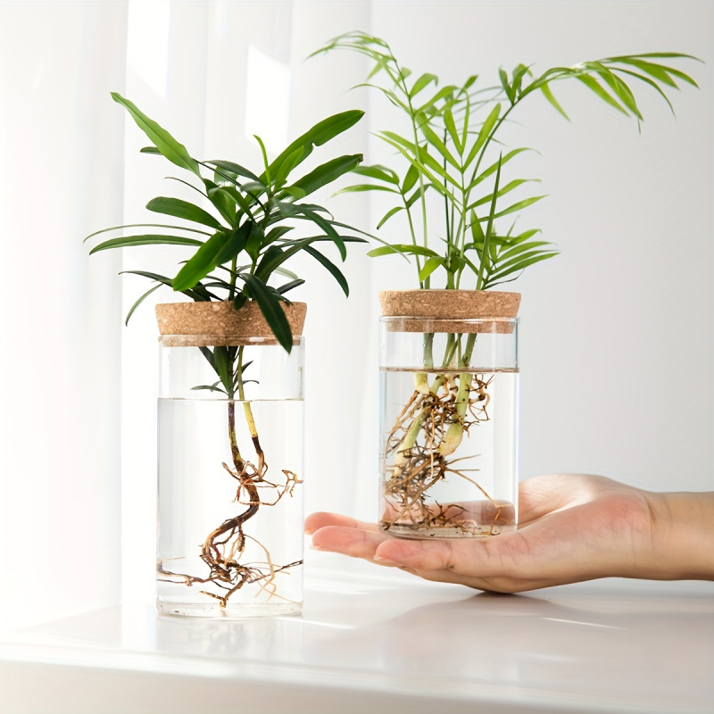 Propagation Station Vase - فازة نباتات الزراعة المائية للديكور المنزلي