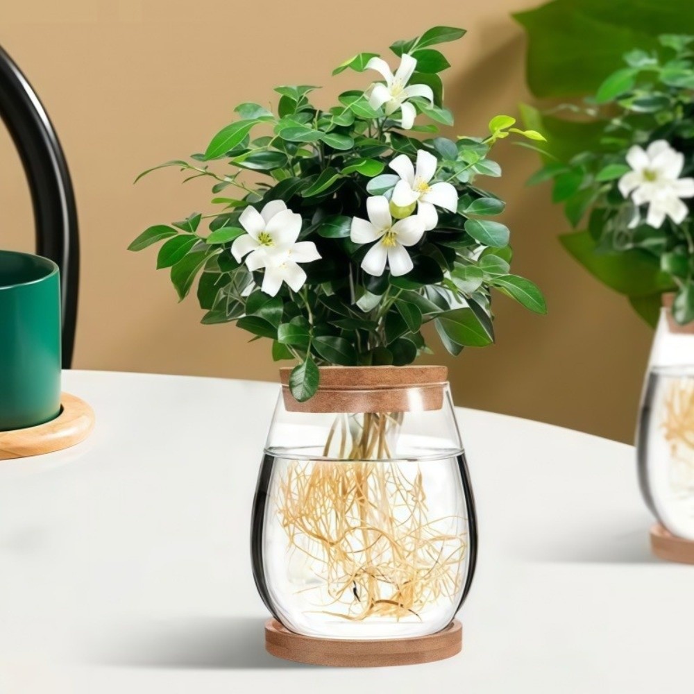 Propagation Station Vase - وعاء زهور هيدروبوني شفاف مع صينية