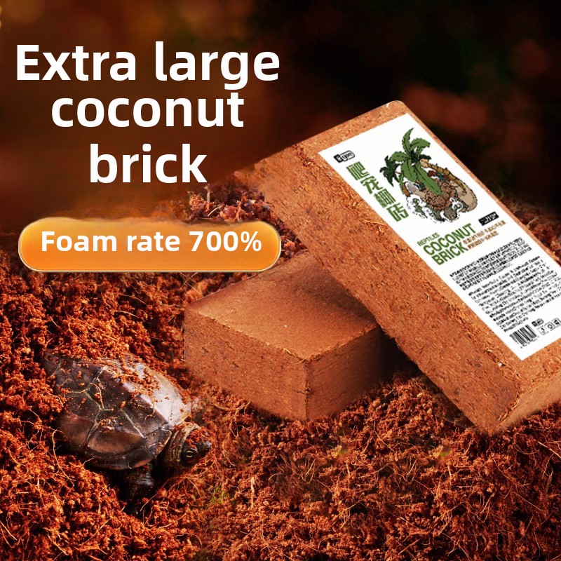 Sphagnum Moss Dry - مجموعة هايبرنشن السلحفاة من YEE -