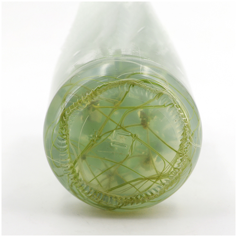 مزيج مغذي متوسط بدون أجار أو س - مراجعة Agar Tissue Culture وسعره