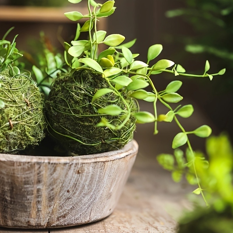 وعاء طحالب صناعية، حاوية نباتا - مراجعة Sphagnum Moss Dry وسعره