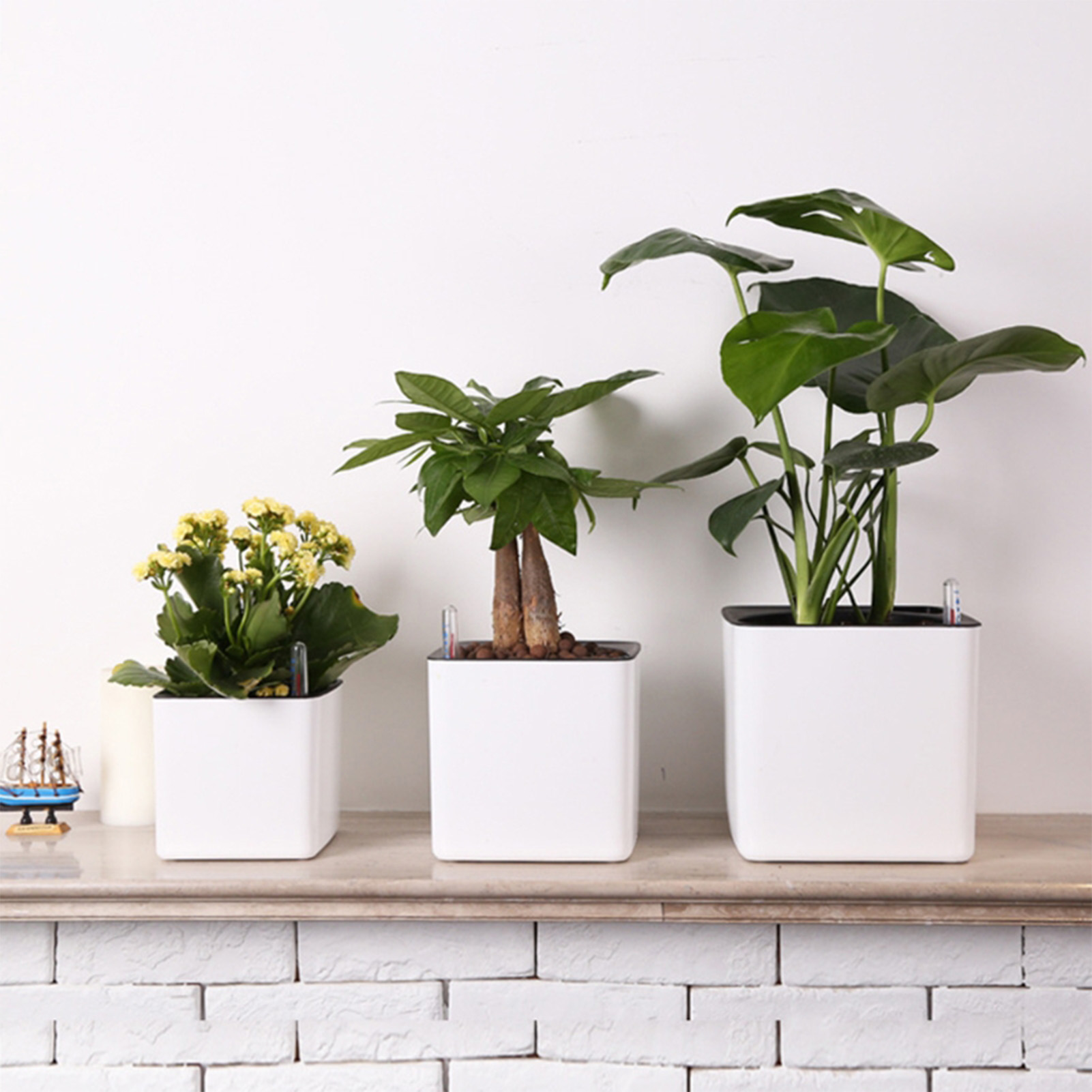 التلقائي الذاتي سقي زهرة النبا - مراجعة Self Watering Insert وسعره