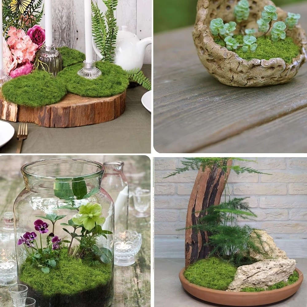 سجادة عشب صناعي للتركيب الذاتي - مراجعة Sphagnum Moss Dry وسعره