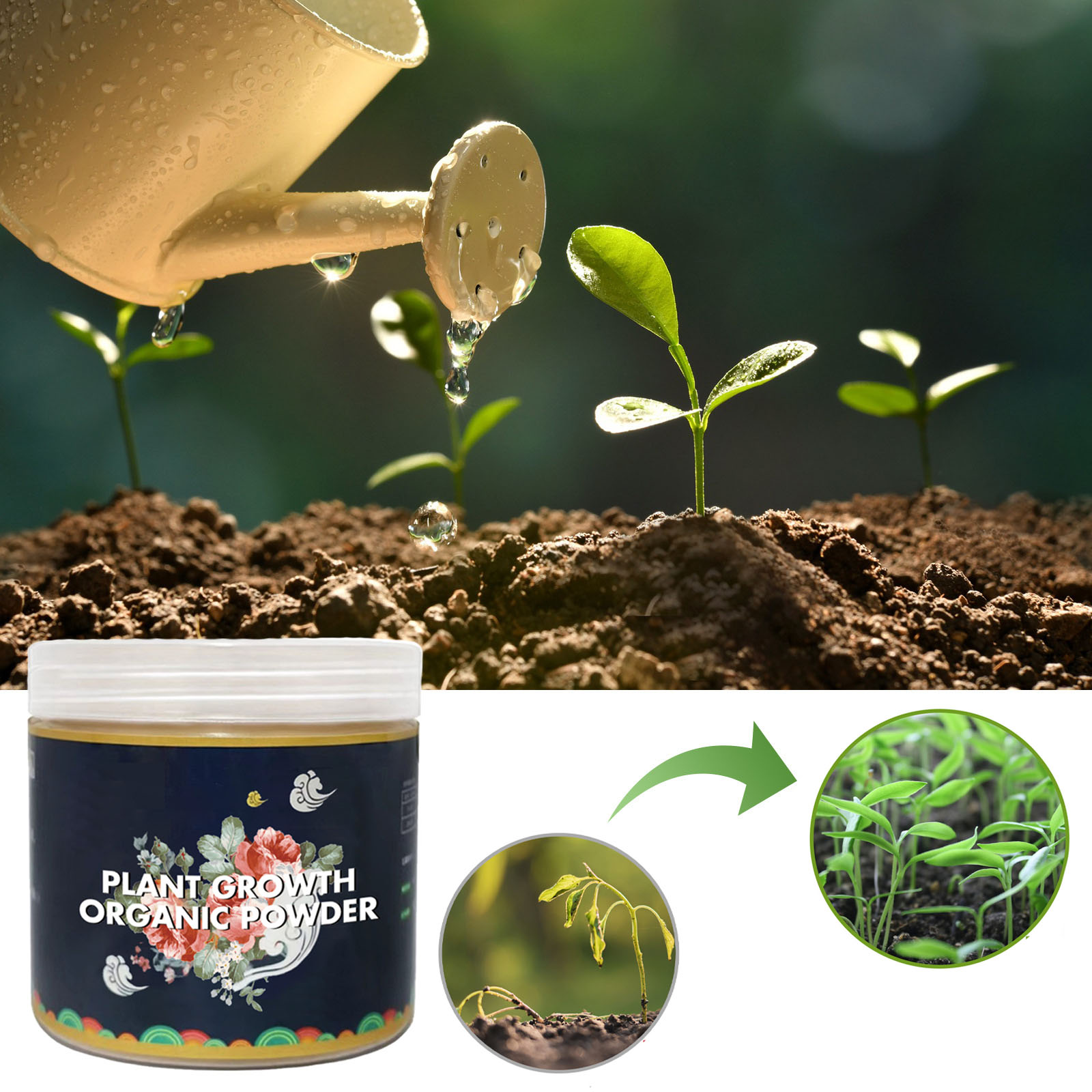 مسحوق تأصيل سريع لتحسين التربة - مراجعة Rooting Hormone Powder وسعره