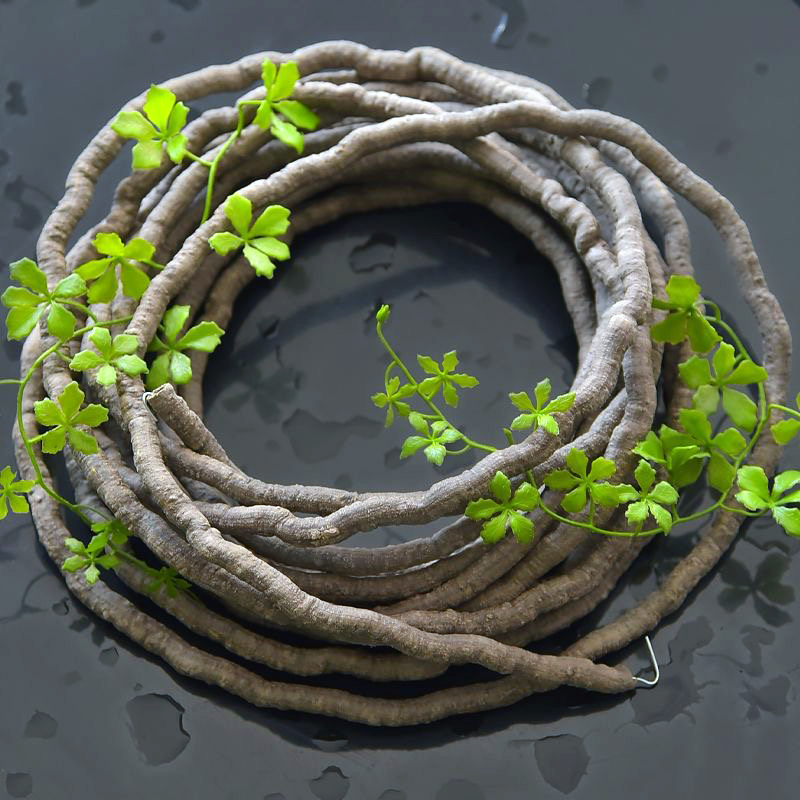 نباتات اللبلاب الاصطناعية بطول - مراجعة Sphagnum Moss Dry وسعره
