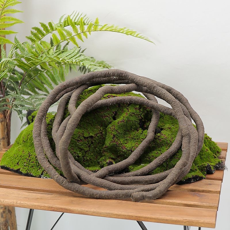 نباتات اللبلاب الاصطناعية بطول - مراجعة Sphagnum Moss Dry وسعره