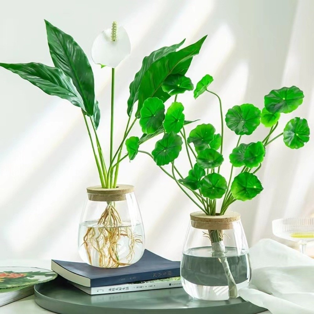 وعاء زهور هيدروبوني شفاف مع صي - مراجعة Propagation Station Vase وسعره