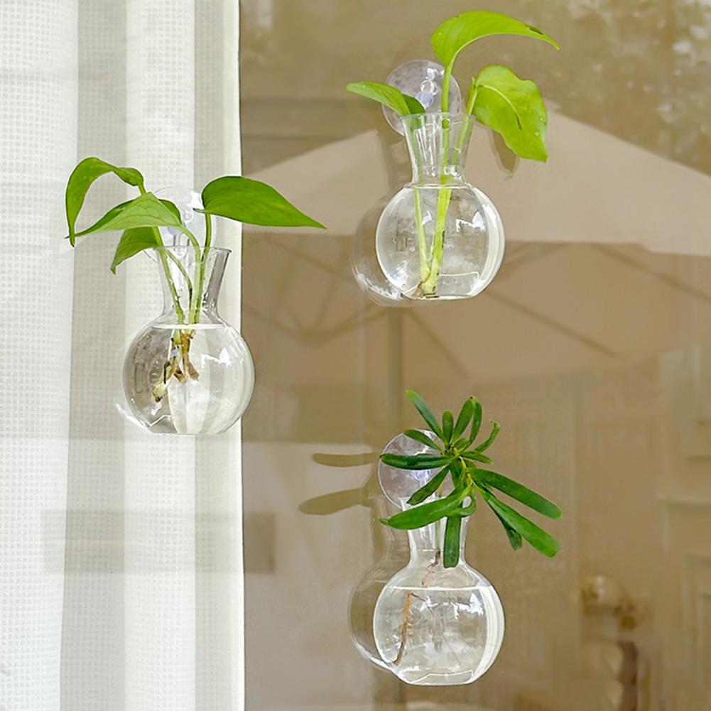 حامل نباتات للنوافذ، مزهرية نا - مراجعة Propagation Station Vase وسعره