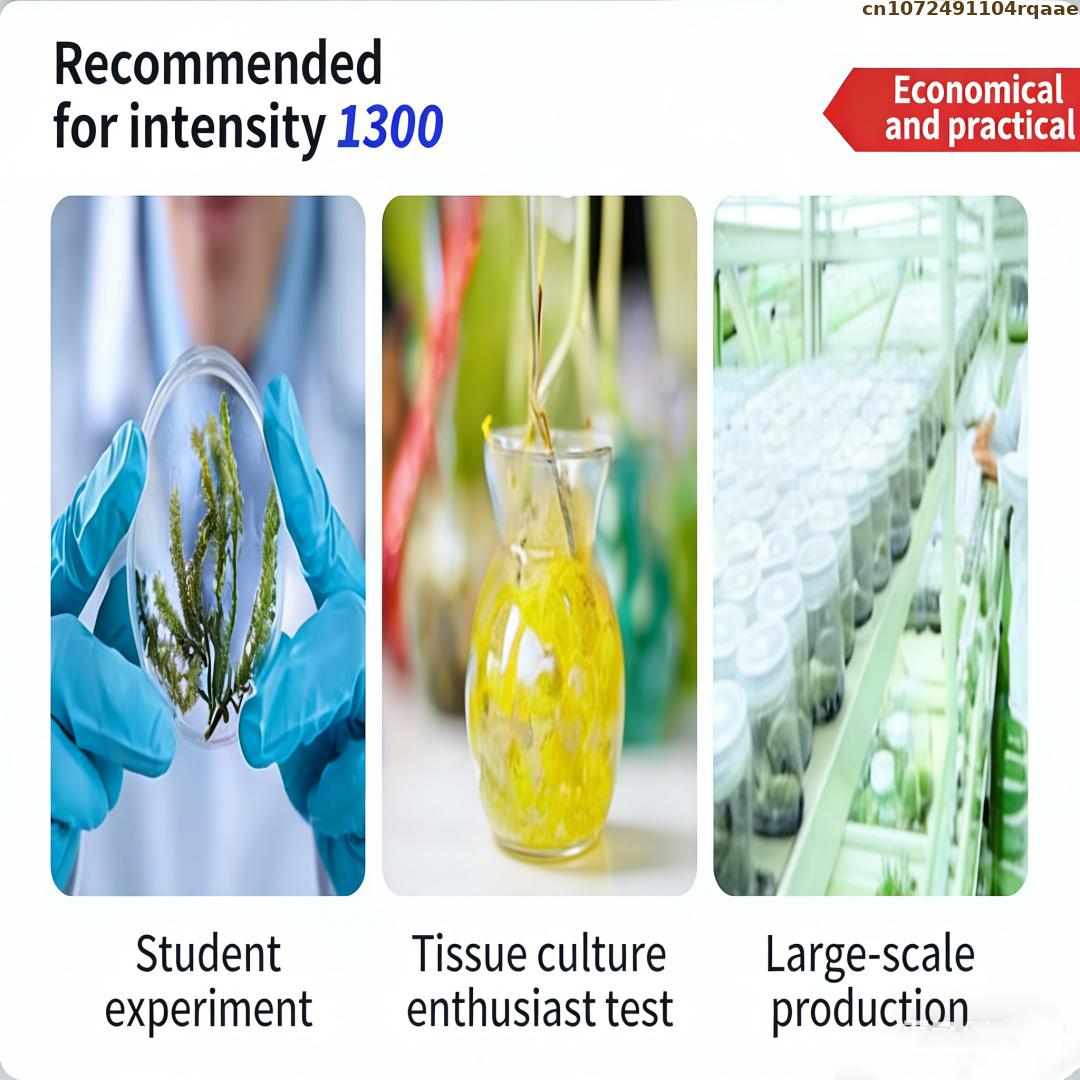 مسحوق أجار عالي الجودة لزراعة  - مراجعة Agar Tissue Culture وسعره