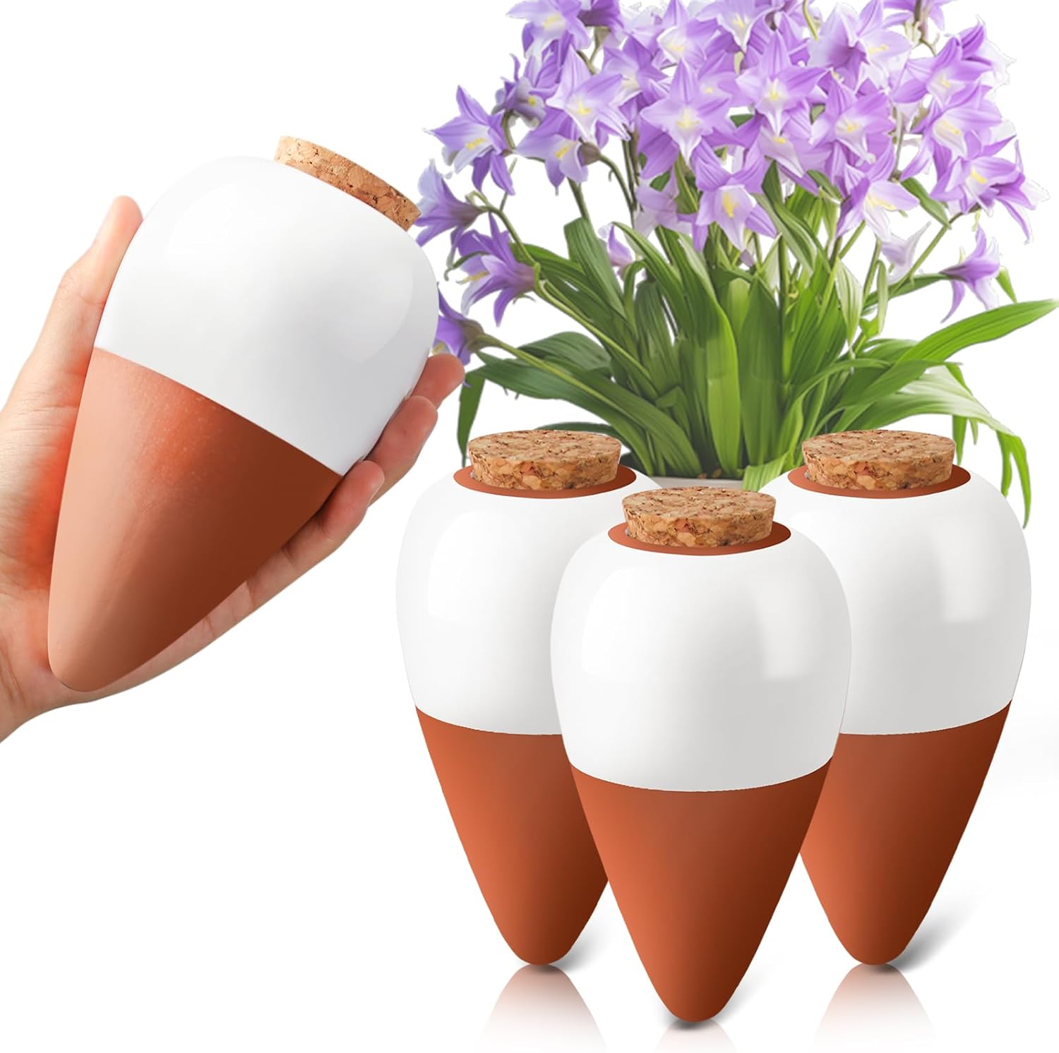 أداة سقي نباتات التيراكوتا، كر - مراجعة Self Watering Insert وسعره