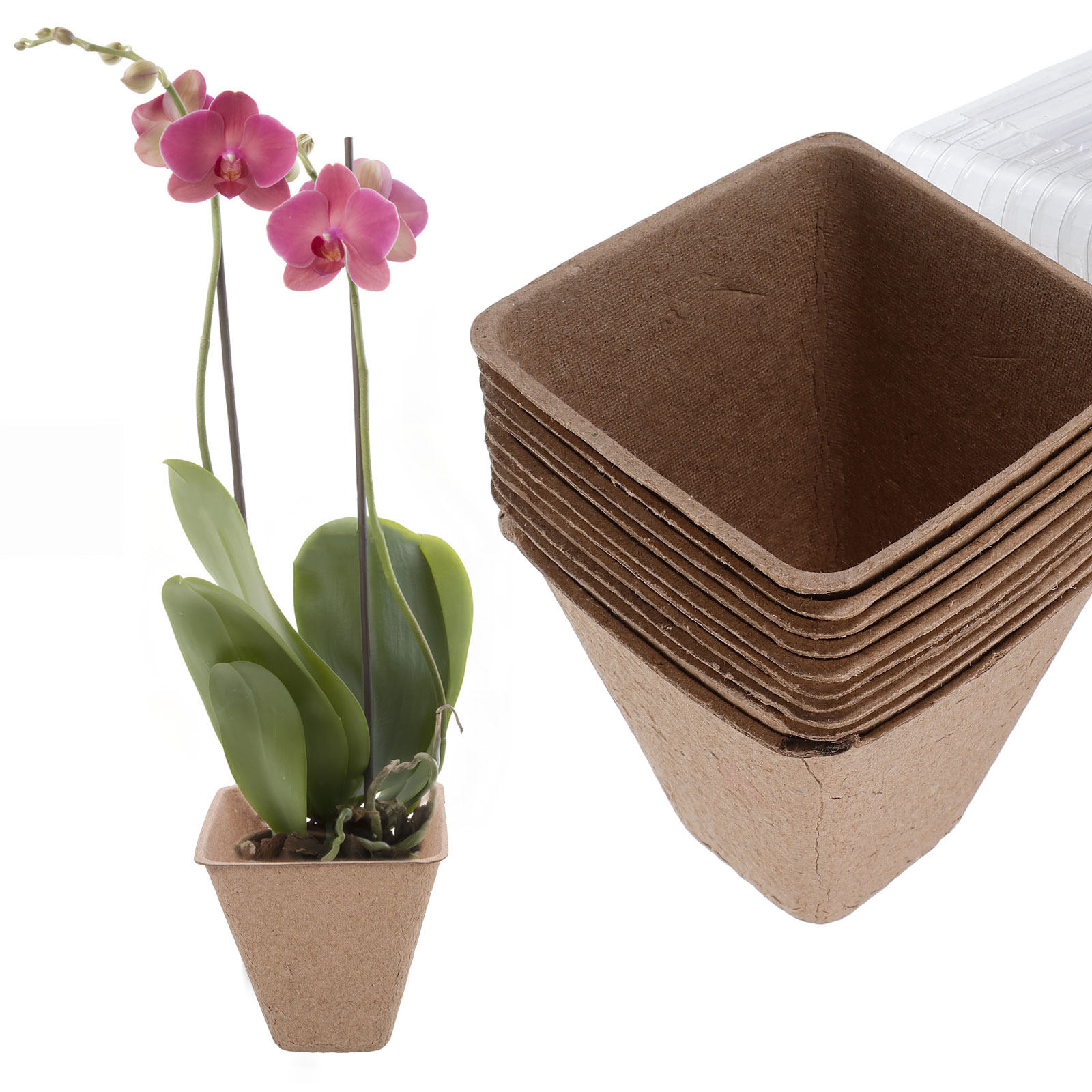 10 قطع من أوعية زراعة الشتلات  - مراجعة Humidity Dome Kit وسعره