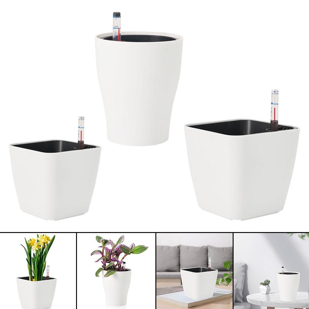 أواني الزهور ذاتية السقي أواني - مراجعة Self Watering Insert وسعره