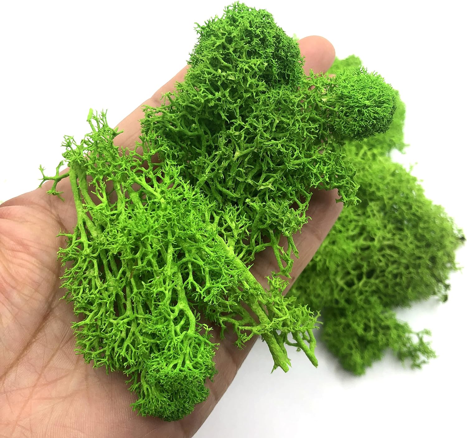 200 جرام نباتات خضراء اصطناعية - مراجعة Sphagnum Moss Dry وسعره