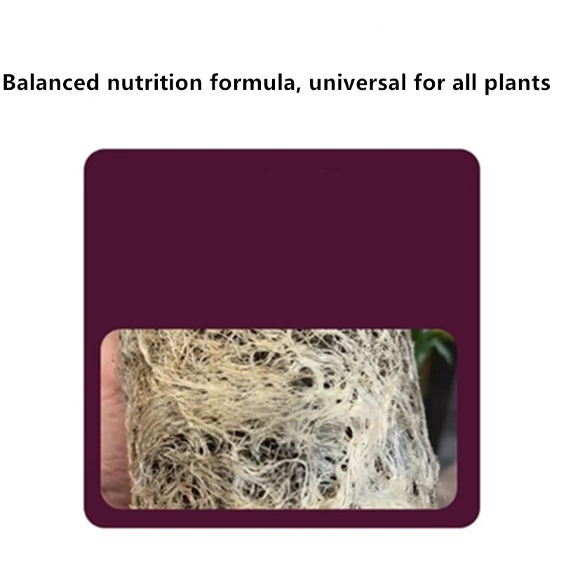 2 أكياس مسحوق هرمون تأصيل الشت - مراجعة Rooting Hormone Powder وسعره