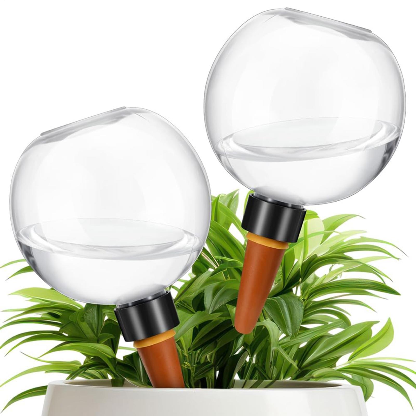 500 مللي لمبات سقي النباتات ال - مراجعة Self Watering Insert وسعره