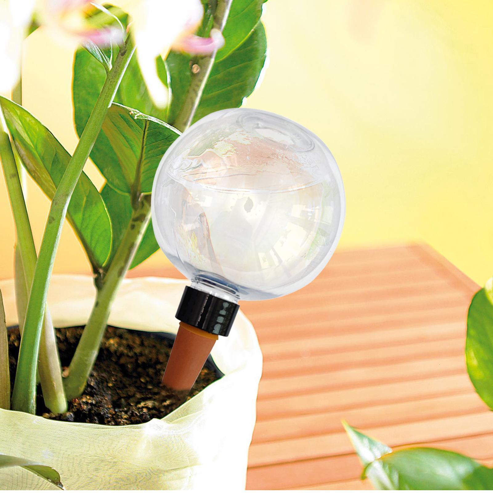 500 مللي لمبات سقي النباتات ال - مراجعة Self Watering Insert وسعره