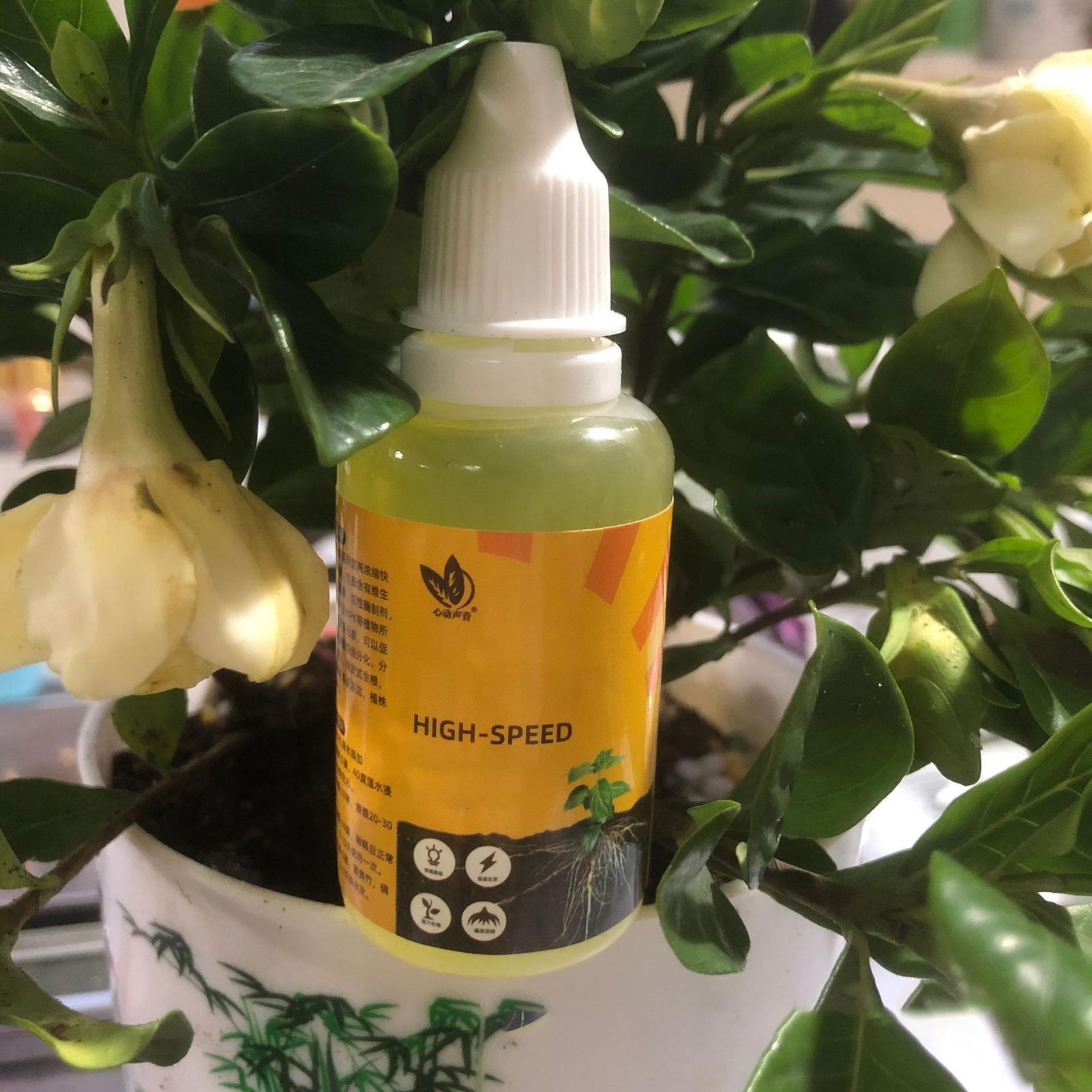 سريع بوتينغ تأصيل النباتات الم - مراجعة Root Stimulator Liquid وسعره