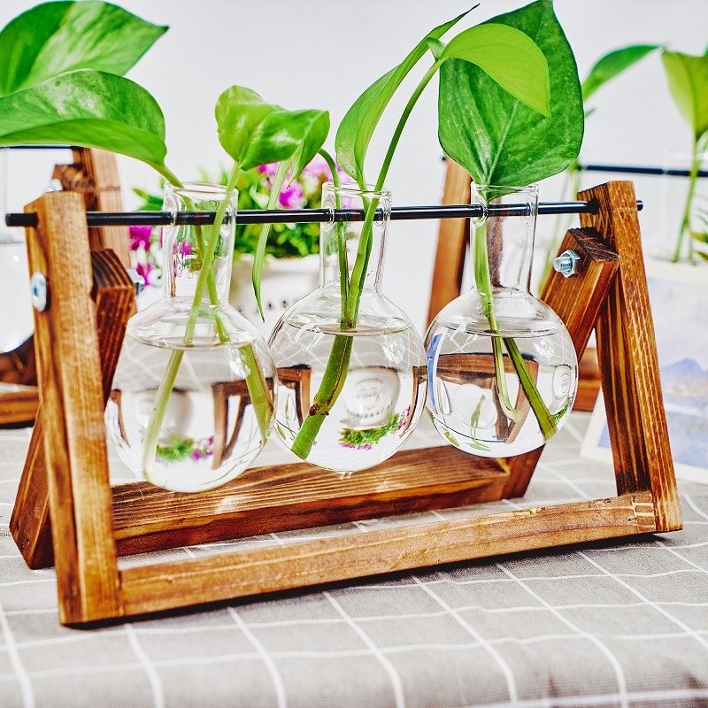 منضدية زجاج زارع محطة انتشار ا - مراجعة Propagation Station Vase وسعره