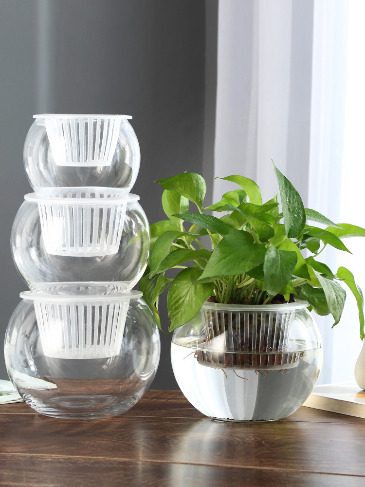 مزهرية زجاجية للزراعة المائية، - مراجعة Propagation Station Vase وسعره