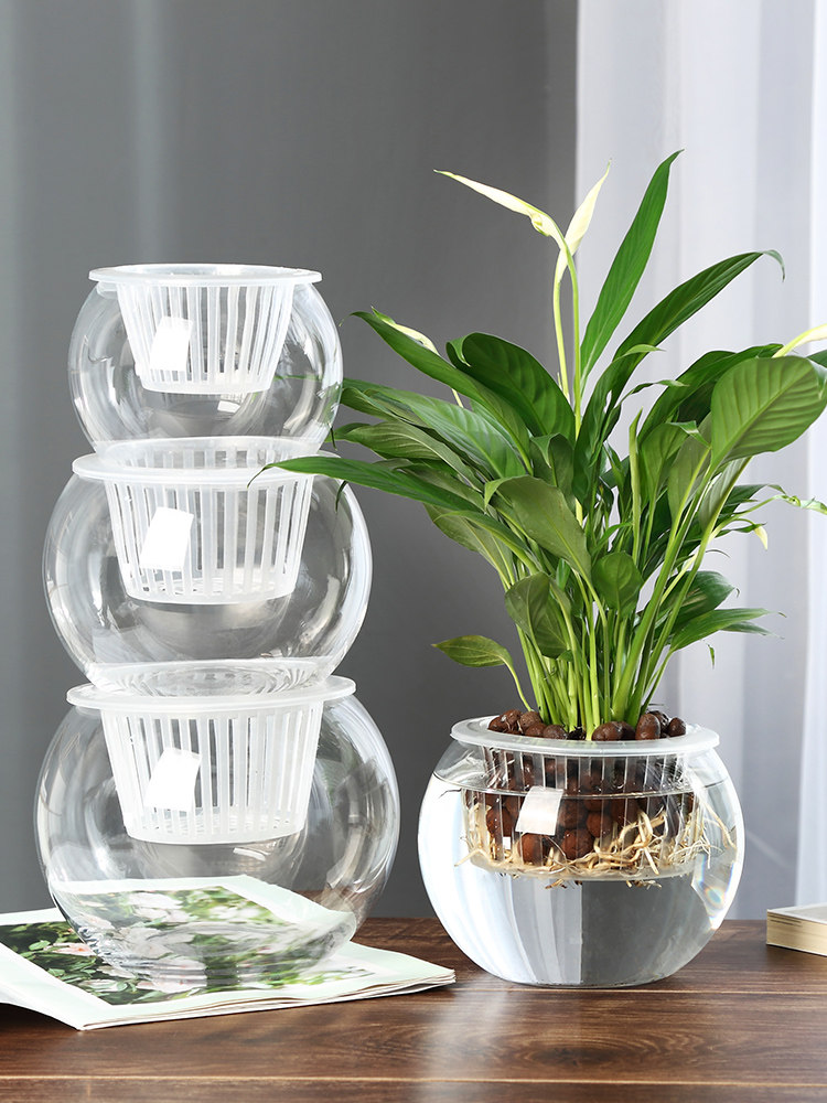 مزهرية زجاجية للزراعة المائية، - مراجعة Propagation Station Vase وسعره